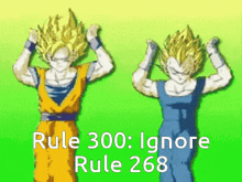 Rule Rules GIF - Rule Rules 300 GIFs