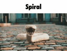 Spiral Snake GIF - Spiral Snake Gametal GIFs