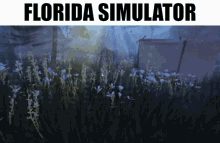 Florida Simulator GIF - Florida Simulator Florida Simulator GIFs