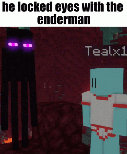 Funny Minecraft Enderman Memes