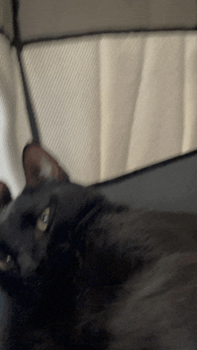 Cat Sleep GIF - Cat Sleep GIFs