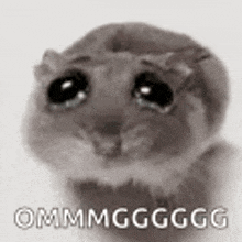 a black and white photo of a hamster with tears in its eyes and the words `` ommmgggg '' written on it .