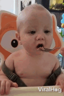 Baby Viralhog GIF - Baby Viralhog Feeding GIFs