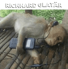 Richard_glatter GIF - Richard_glatter GIFs