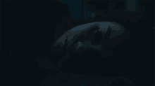 Waking Up With Noise Barbarian GIF - Waking Up With Noise Barbarian Heard Something GIFs
