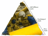 a diagram of a person in a raft with self fulfillment needs psychological needs and basic needs labeled