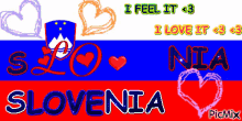 Slovenia Slovenian GIF