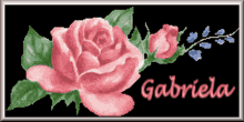 Gabriela Rose GIF - Gabriela Rose Flower GIFs