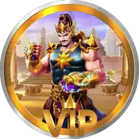 a picture of a man with a crown and the word vip