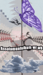 a picture of a butterfly with the words assalamualaikum wrwb
