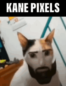 Kane Pixels Kane GIF - Kane Pixels Kane Pixes GIFs