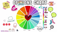 Opinions Pie Chart GIF - Opinions Pie Chart Accepted GIFs