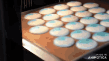 a bunch of cookies are being baked in an oven and the words made in animatica are visible