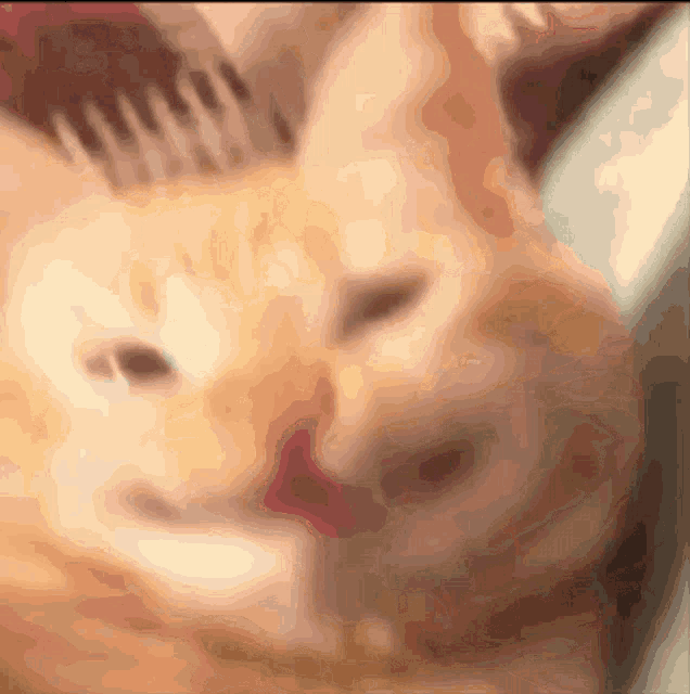 Orange Cat Smile Orenge Cat Smiling GIF - Orange Cat Smile Cat Smile Orenge Cat Smiling GIFs