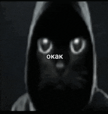 a black cat wearing a hooded jacket with the words okak written on it .