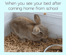 Tired Bunny GIF - Tired Bunny Exhausted GIFs