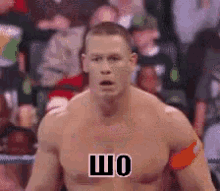 джон сина шо что удивление шок омг GIF - John Cena Wrestling Wwe GIFs
