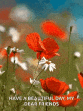 Red Roses GIF - Red Roses And GIFs
