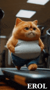 a fat cat is running on a treadmill with the word erol in the bottom right corner
