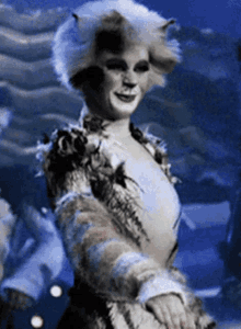 Cats Etcetera GIF - Cats Etcetera GIFs