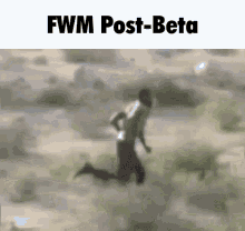 Fwm Fwm Roblox GIF