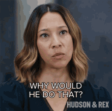 Why Would He Do That Sarah Truong GIF - Why Would He Do That Sarah Truong Hudson And Rex GIFs