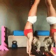 britney spears upside down fitness girl
