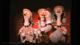 a group of stuffed animals are standing next to each other with mousesteps.com written on the bottom