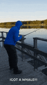 Fiska Fishing GIF - Fiska Fisk Fishing GIFs
