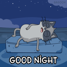 a cartoon of a raccoon laying on a mattress with the words " good night " above it