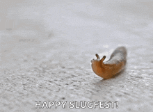 a snail is crawling on a concrete surface with the words happy slugfest written below it