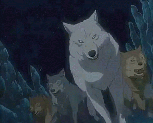 Share 68+ anime wolf pack super hot - in.coedo.com.vn