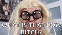 a man wearing glasses and a blonde wig says what is that cow bitch ?