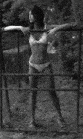 Marilhea Peillard Bikini GIF - Marilhea Peillard Bikini Fence GIFs