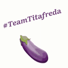 a purple eggplant with a green stem and the words `` team titafreda '' above it .