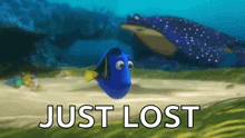 Finding Dory Mr Ray GIF