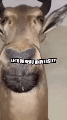 Letourneau University University GIF - Letourneau University Letourneau University GIFs