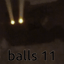 balls balls11 balls2 cursed cat