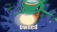 Rayquaza Deoxys GIF - Rayquaza Deoxys Owned GIFs