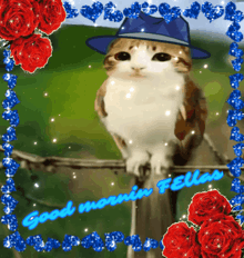 a picture of a cat wearing a hat with the words good morning felix written on it