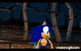 shadow the hedgehog and knuckles are in a video game