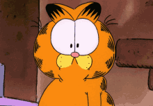 Whats That Garfield GIF - Whats That Garfield Huh GIFs