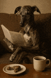 a dog reading a newspaper next to a cup of coffee