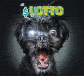 a small black dog with its mouth open and the word lotto written above it