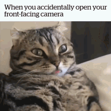 When You Meme GIF - When You Meme Accidentally Open Front Camera GIFs