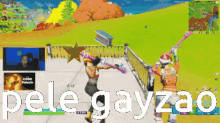 a screenshot of a video game with the words pele gayzao on the bottom