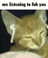a cat with ear buds in its ears is listening to a song .