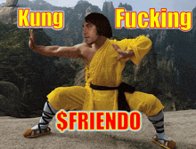 Friendo Kung Fu GIF