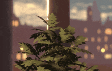 a plant in front of a window with a blurry background