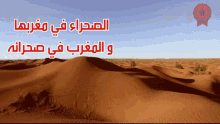 Polisario Sahara GIF - Polisario Sahara Maroc GIFs